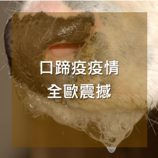 口蹄疫疫情全歐震撼.png